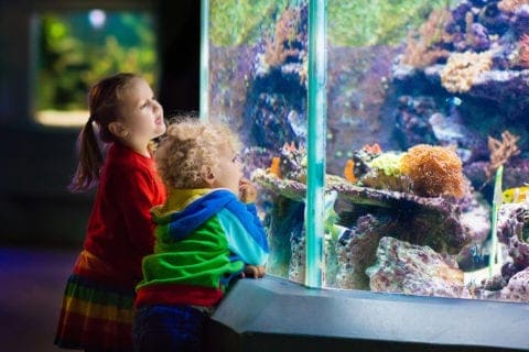 kids at ripley's aquarium of the smokies