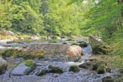 little pigeon river